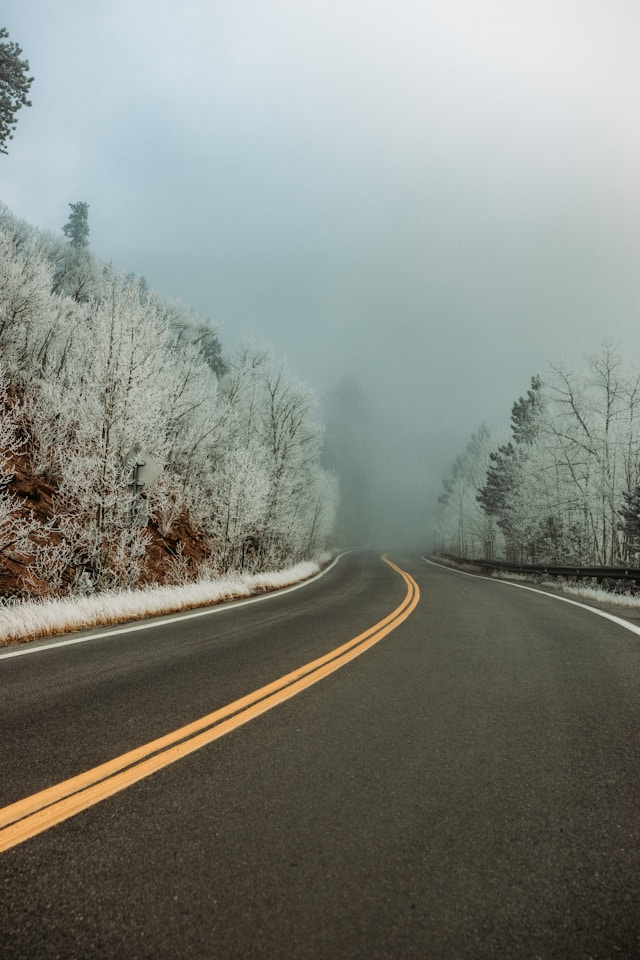 road in the middle of a snowy forest